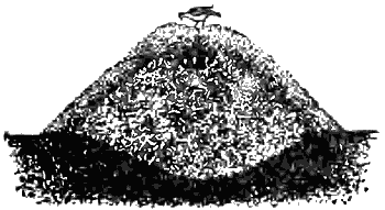 Причуды природы - i_099.png