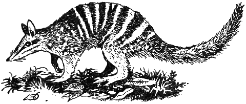 Причуды природы - i_102.png