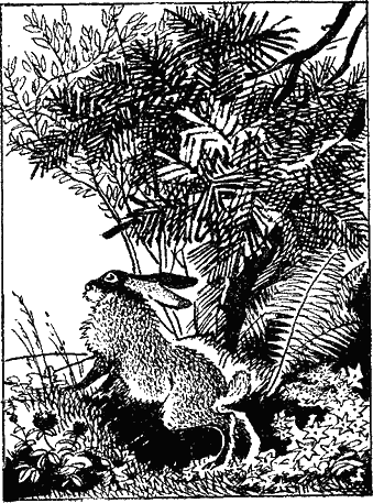 Бабушкины янтари - i_006.png