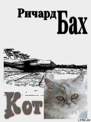 Книга Кот