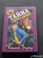 Книга Тайна старого камина