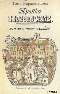 Читать онлайн книгу Тройка неразлучных, или Мы, трое чудаков автор Боржковцова Гана Книга Тройка неразлучных, или Мы, трое чудаков