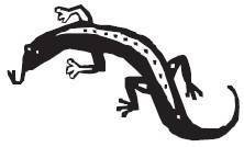 Многобукаф. Книга для - i_013.jpg