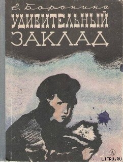 Читать онлайн книгу Удивительный заклад автор Боронина Екатерина Сергеевна Книга Удивительный заклад