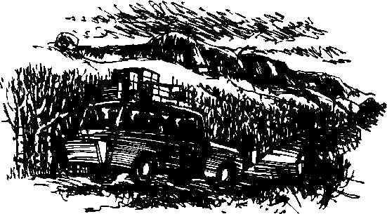 Каос и Бьёрнар. Олауг и Пончик - i_018.png