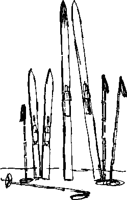 Каос и Бьёрнар. Олауг и Пончик - i_023.png