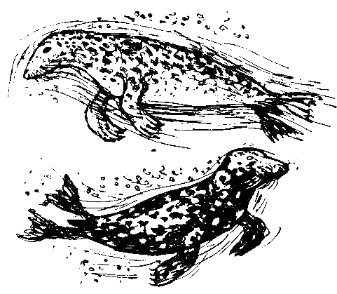 Каос и Бьёрнар. Олауг и Пончик - i_029.png