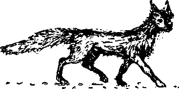 Каос и Бьёрнар. Олауг и Пончик - i_037.png