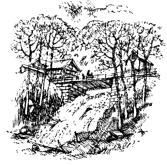 Каос и Бьёрнар. Олауг и Пончик - i_039.png