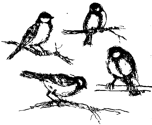 Каос и Бьёрнар. Олауг и Пончик - i_048.png