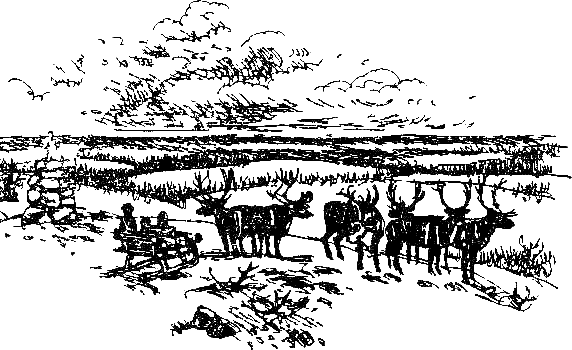 Каос и Бьёрнар. Олауг и Пончик - i_054.png