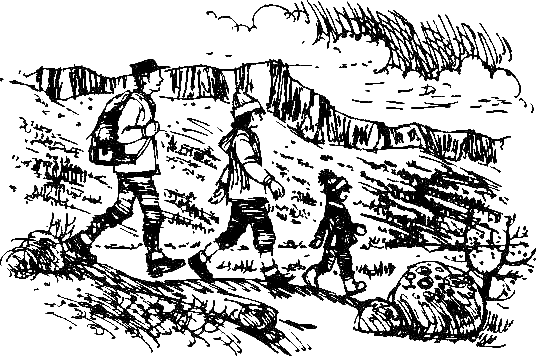 Каос и Бьёрнар. Олауг и Пончик - i_061.png