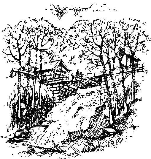 Каос и Бьёрнар. Олауг и Пончик - i_064.png