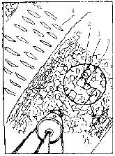 Тайны Атлантиды - _17.jpg