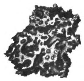 Земля и небо - i_079.jpg