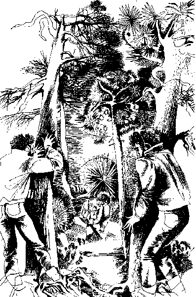 Где ты, маленький "Птиль" - i_038.png