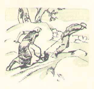 Консул - i_012.jpg