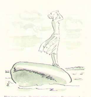 Консул - i_019.jpg