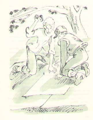 Консул - i_021.jpg