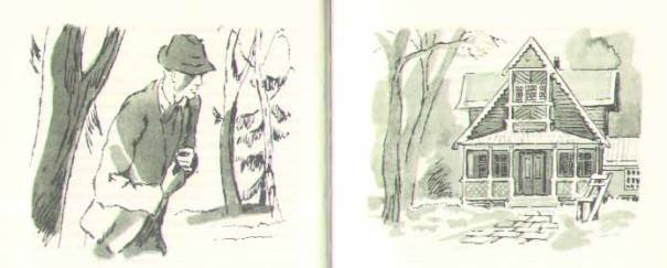 Консул - i_041.jpg