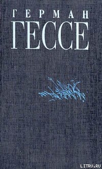 Книга Под колесами