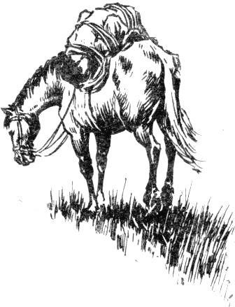 Карабарчик. Детство Викеши. Две повести - i_002.png