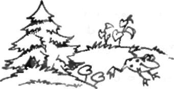 ЗАСЫПАЕМ, КУШАЕМ. МАМУ С ПАПОЙ СЛУШАЕМ Полезные советы на все случаи непослушания - img_31.jpg