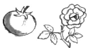 ЗАСЫПАЕМ, КУШАЕМ. МАМУ С ПАПОЙ СЛУШАЕМ Полезные советы на все случаи непослушания - img_32.jpg