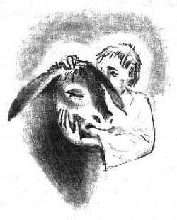 Книга Ослиное чудо