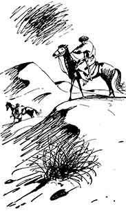 Одинокий всадник - pic_19.jpg