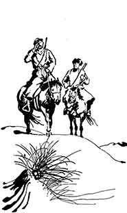 Одинокий всадник - pic_7.jpg