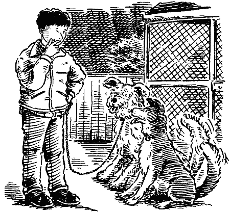Джесси-подкидыш - i_001.png