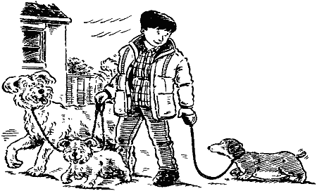 Джесси-подкидыш - i_003.png