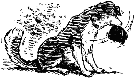 Джесси-подкидыш - i_011.png