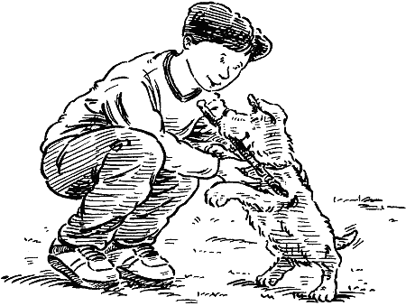 Звездные лапы - i_004.png