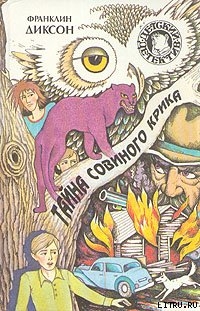 Книга Тайна пепельных пирамидок