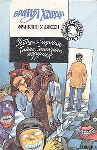 Книга Тайна магазина игрушек