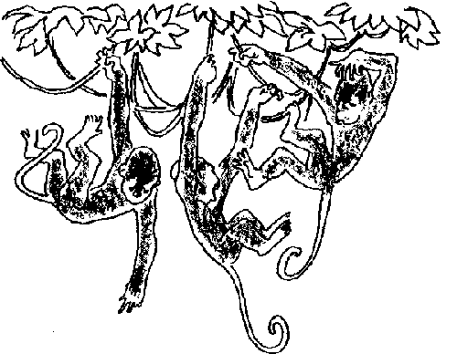 Тисту - мальчик с зелеными пальцами - i_011.png