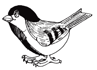 Пальчиковые игры для детей от года до трех лет - i_016.png