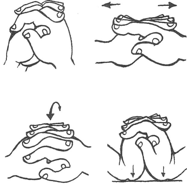 ПОГОВОРИ СО МНОЙ,МАМА! Развивающие занятия для малышей - img_29.jpg