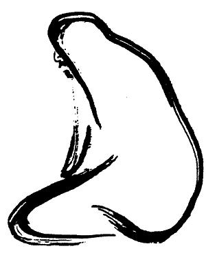 Звучание тишины. Сборник медитативных притч дзэнских мастеров - z_104.png