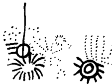 История религии (Книга 1) - pic_40.png