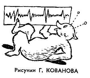 Искатель. 1964. Выпуск №2 - i_029.png