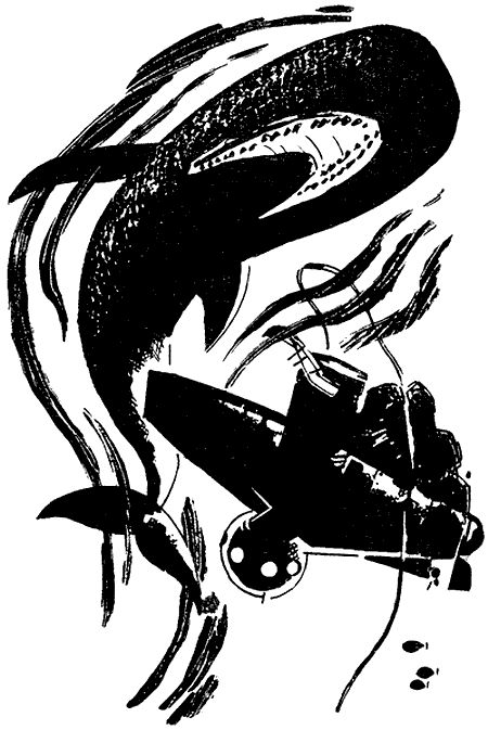 Искатель. 1965. Выпуск №2 - i_016.png