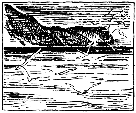 Искатель. 1967. Выпуск №2 - i_021.png