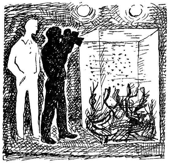 Искатель. 1969. Выпуск №3 - i_005.png