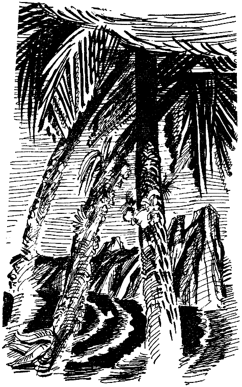 Искатель. 1972. Выпуск №1 - i_021.png