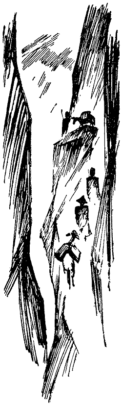 Искатель. 1972. Выпуск №3 - i_022.png