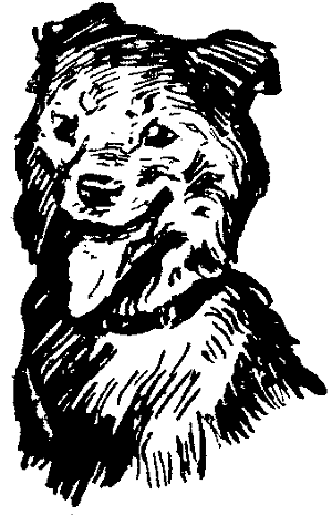 Мой друг Кирочка - i_003.png