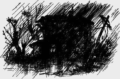 Вадимка - any2fbimgloader15.png